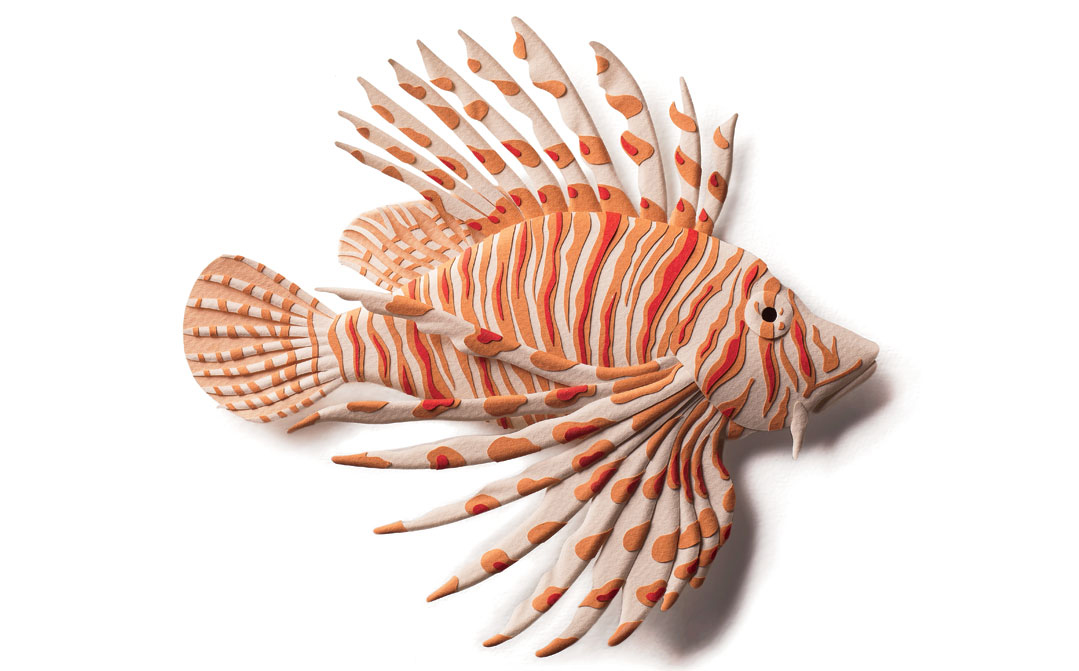 No need to grill up Chilean sea bass—the brutish, non-native lionfish tastes similar. 