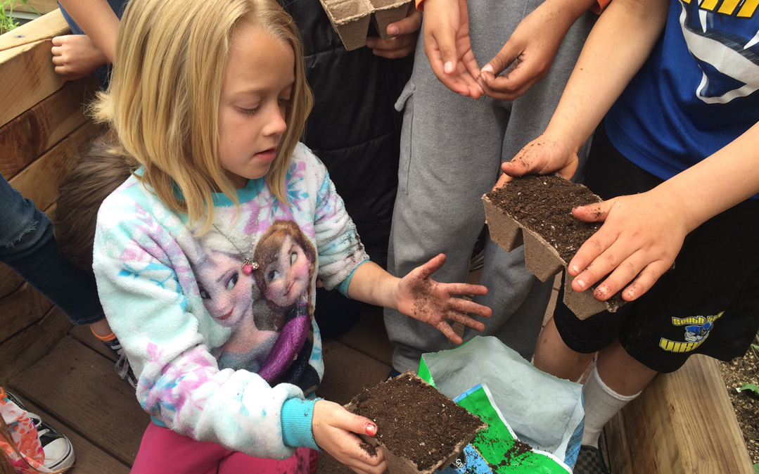 A third-grader is hands-on in the Sierra House pollinator garden.