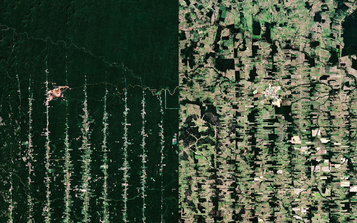 Left aerial photo shows a section of the Amazon in 1989 (dark green and lush). The right aerial photo shows the section in 2019 (less green and patches of brown).