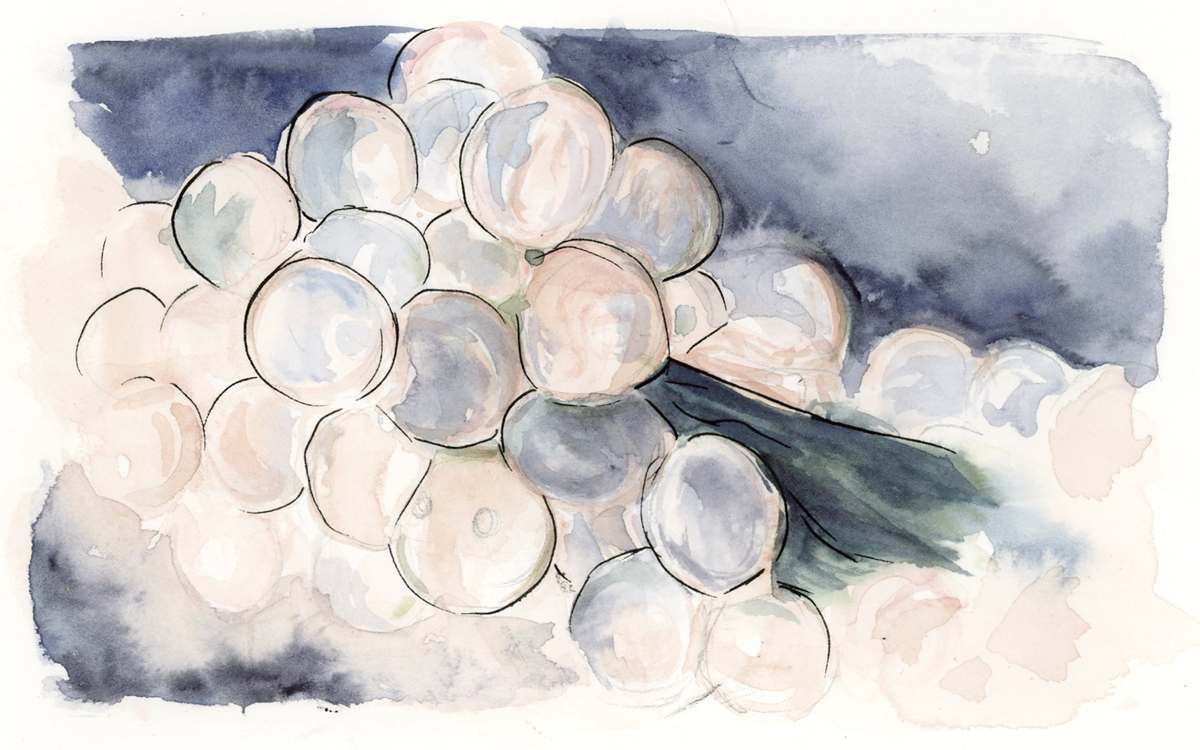 Watercolor of beautiful rotund herring eggs, iridescent against a blue background