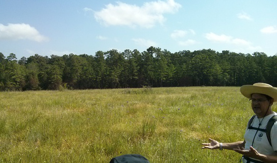 Prairie Restoration