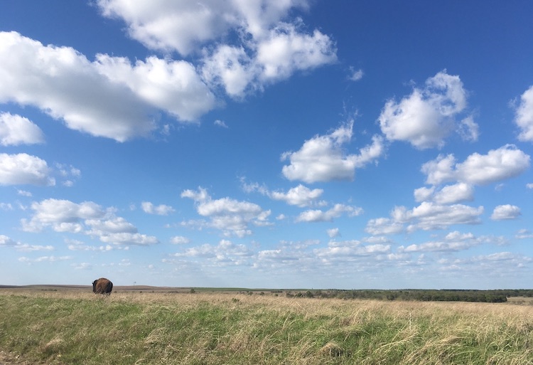 Tallgrass Prairie Nature Reserve