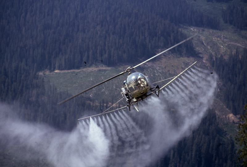 A photograph of a helicopter flying over a forest with a cloud of pesticides being sprayed behind it