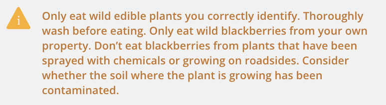 Only eat wild edible plants you correctly identify. Thoroughly wash before eating. Only eat wild blackberries from your own property. Don’t eat blackberries from plants that have been sprayed with chemicals or growing on roadsides. Consider whether the soil where the plant is growing has been contaminated.