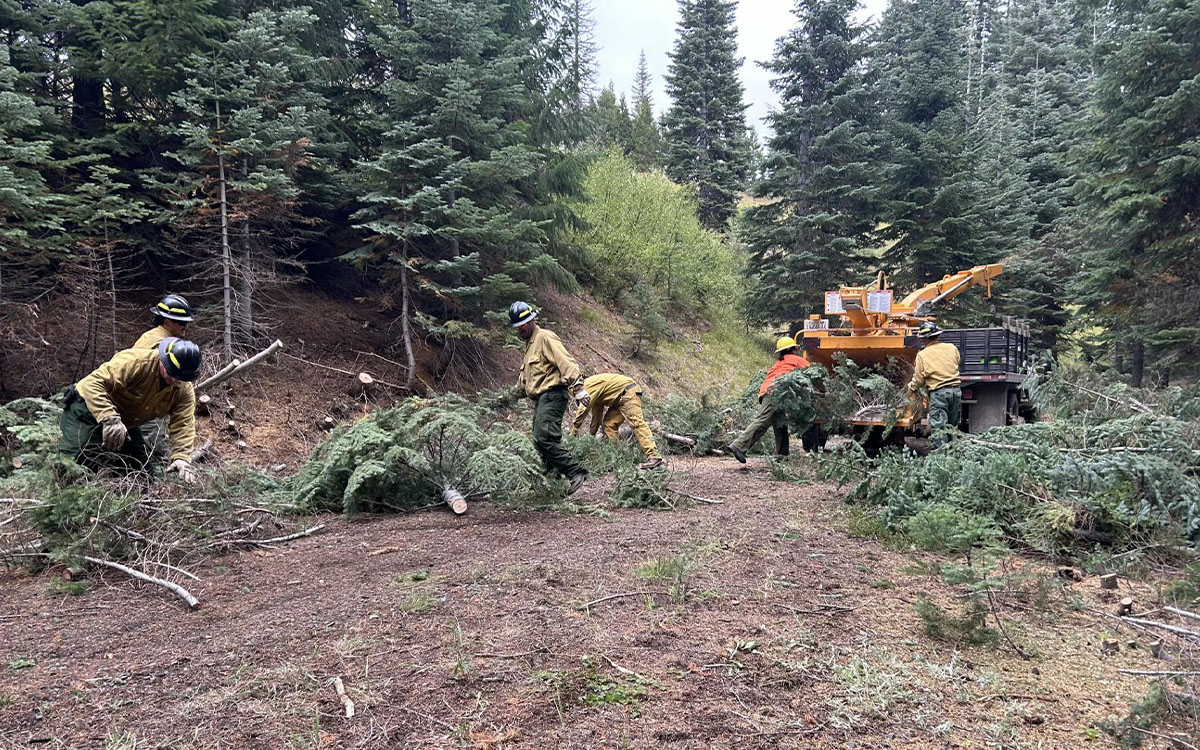 Removing fuel lane 1 and Homestead fire. 