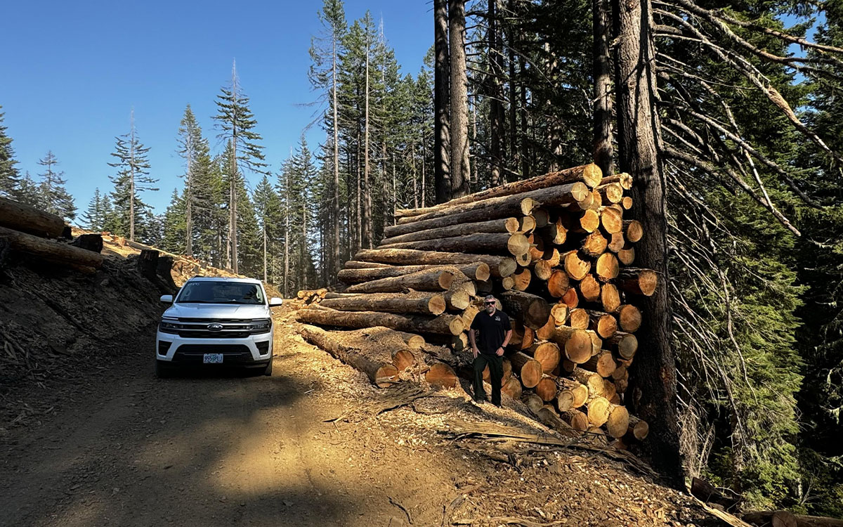 Salvaged Timber from Umpqua Fires. | Photo by Ashli Blow