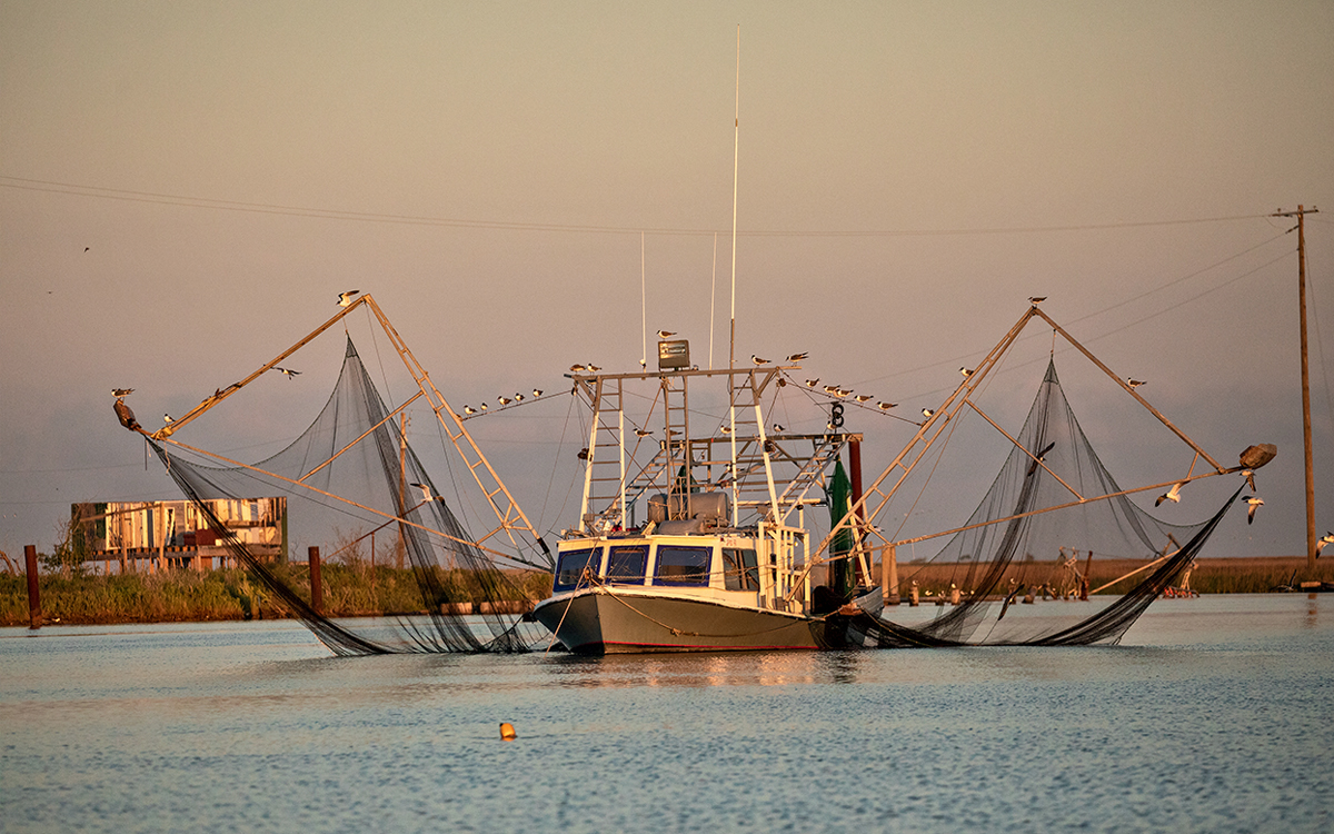 A shrimp boat with nets raised.