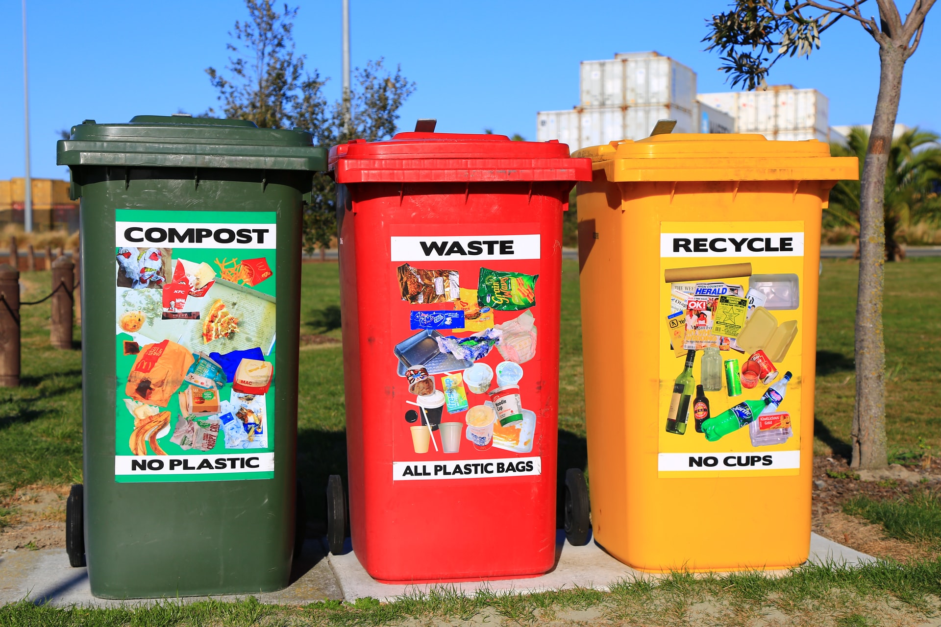 Compost en casa: cómo hacer para convertir la basura en vida