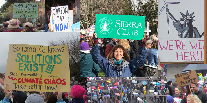 Women's March in Sonoma County