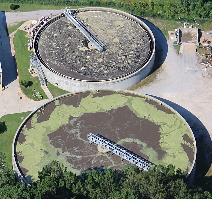   In the above photo, sludge can be seen entirely covering Daphne Utilities' clarifier. This is a serious failure of the treatment system at the plant and is allowing sewage be discharged into Blakeley River and Mobile Bay with very little treatment.