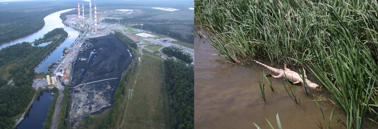 Photos by Cade Kistler, Mobile Baykeeper, flight provided by Southwings.