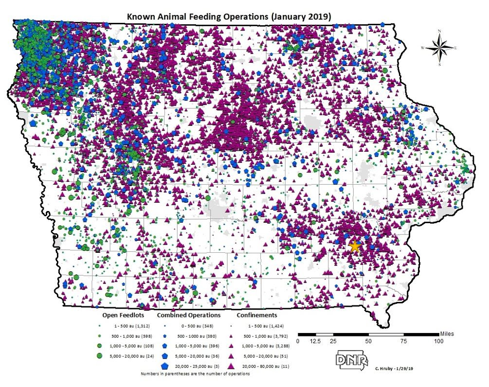 Iowa map showing CAFOs