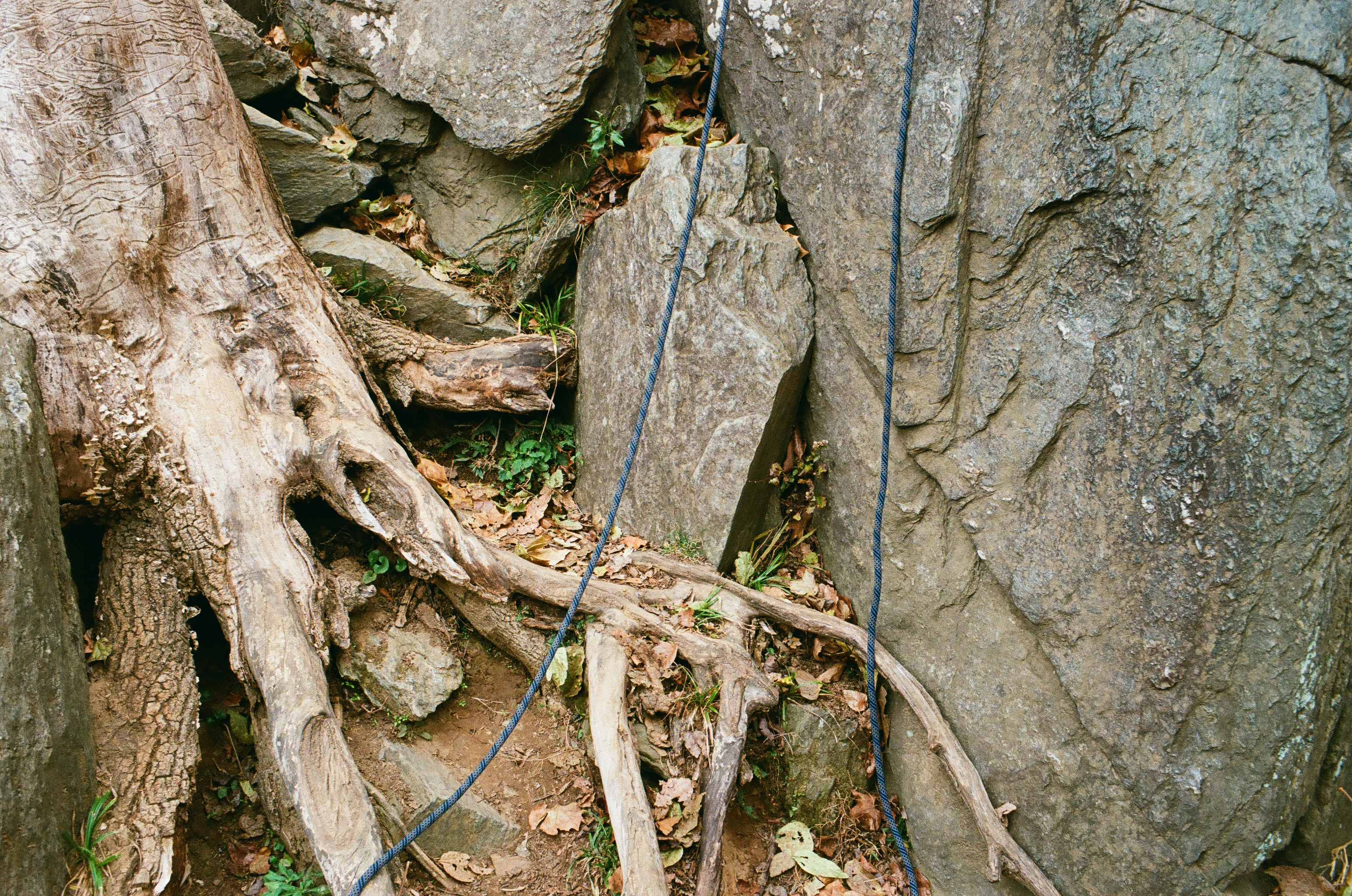 Picture of climbing rope around rock formation.