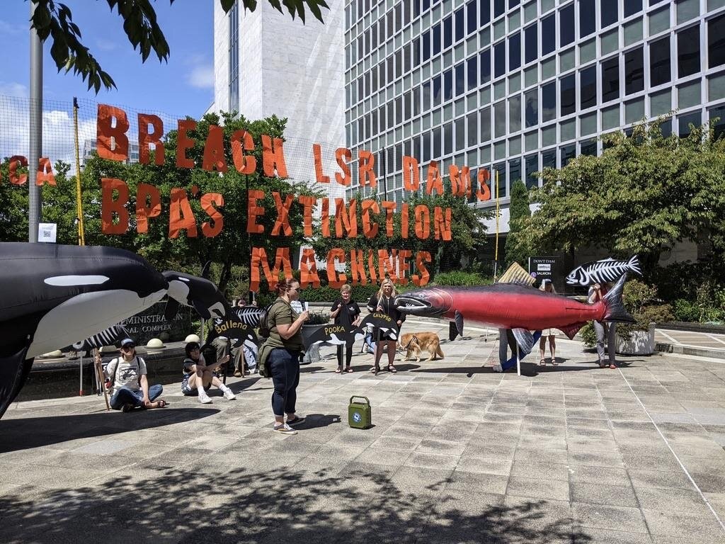 A half dozen people at a rally in a downtown courtyard. Behind the speaker, large orange letters on a banner read, in all-caps, "Breach LSR Dams, BPA's Extinction Machines." Participants also hold giant sculptures of a red salmon, orcas, and fish skeletons.