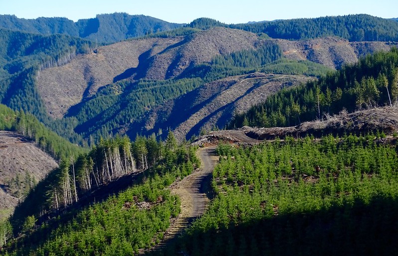 Oregon hillsides with a patchwork of barren soil from clear cuts and tree plantations.