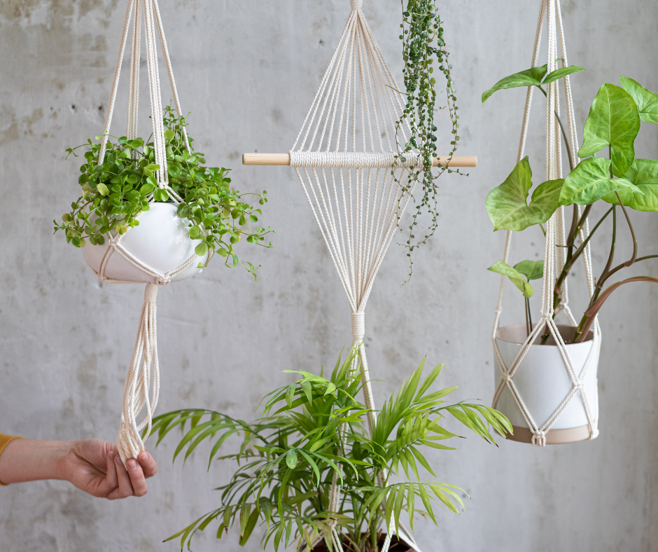 Three macrame hanging plants