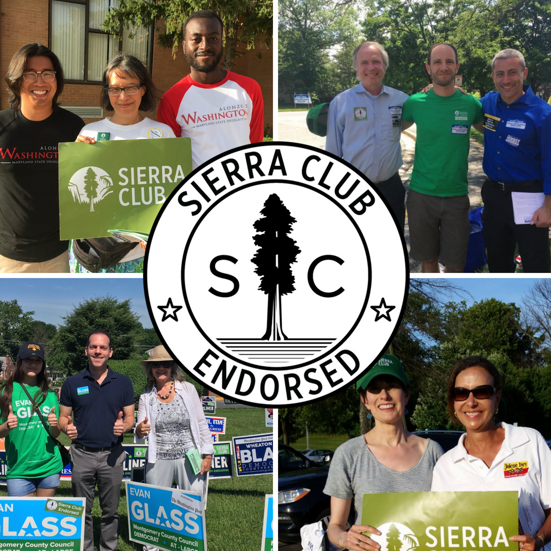 Sierra Club Endorsed Logo with GOTV photos