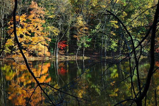 South Mountain Reservation in Fall