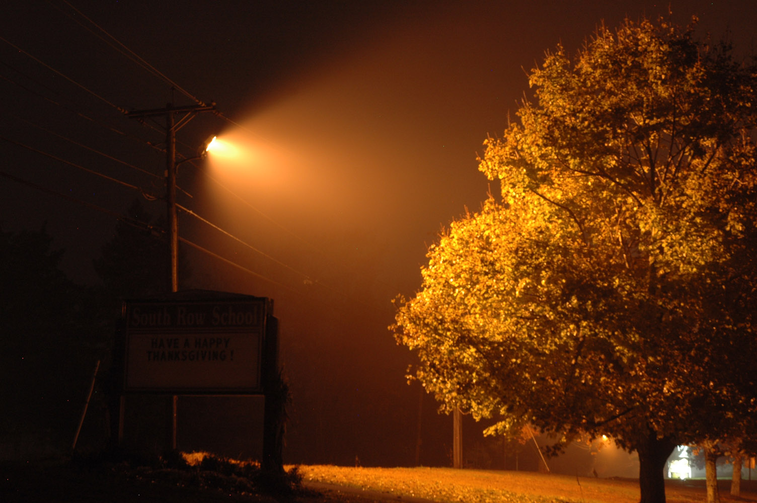 floodlight and a tree