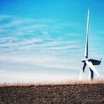 Wind turbine blades rise above pasture horizon