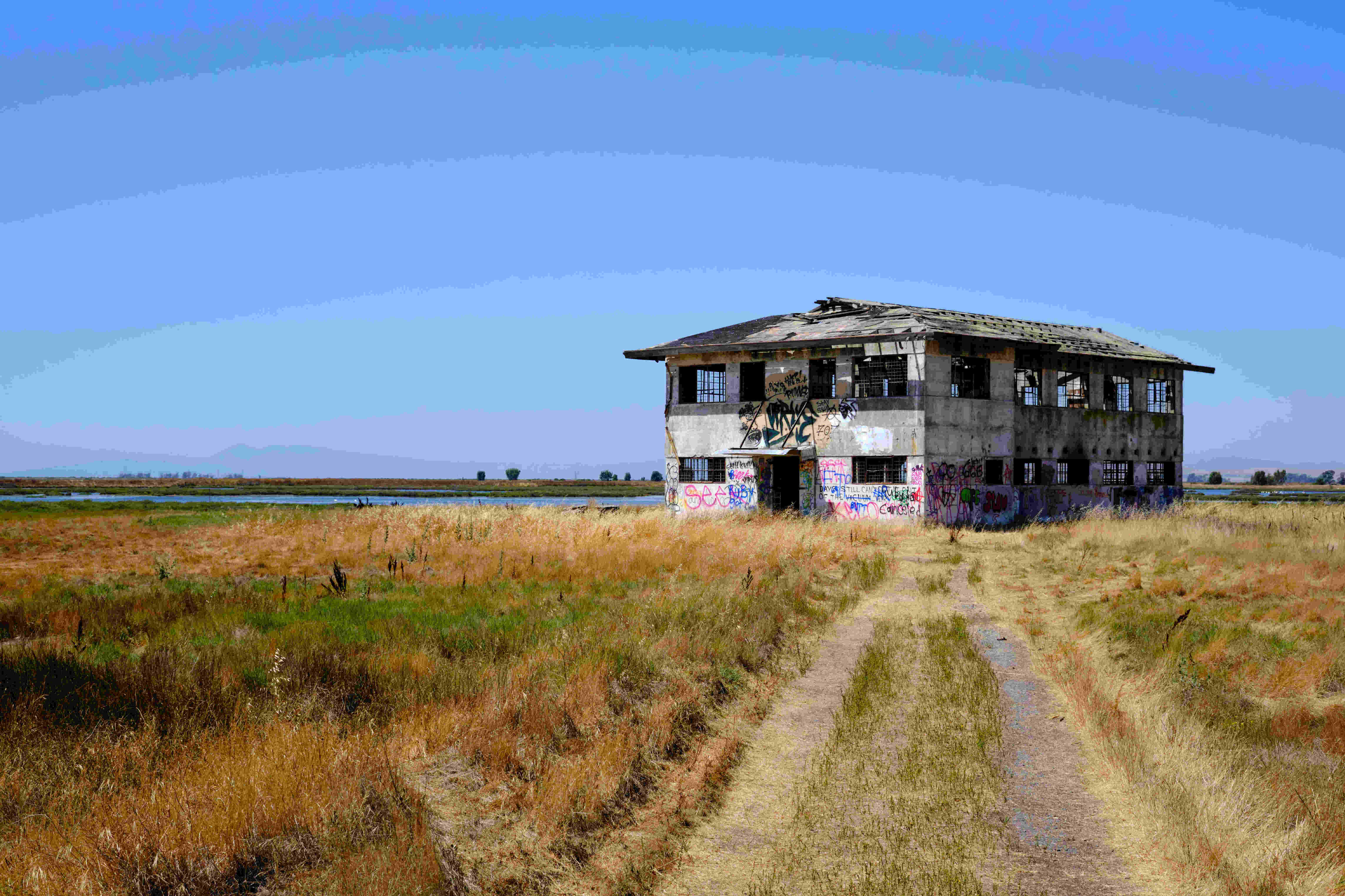 carneros buchli station