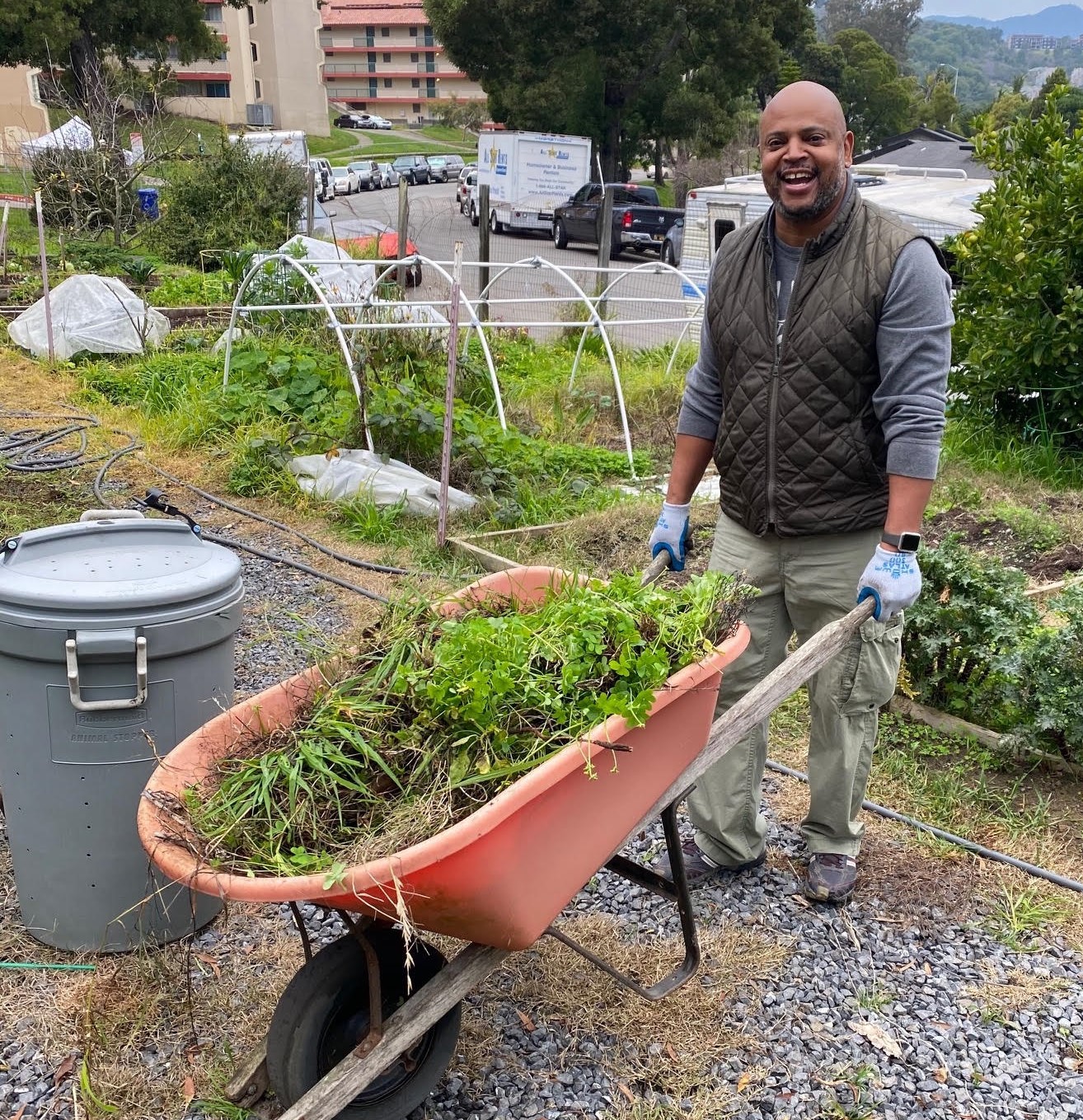 A volunteer holding a wheelbarrow while gardening at Golden Gate Village.