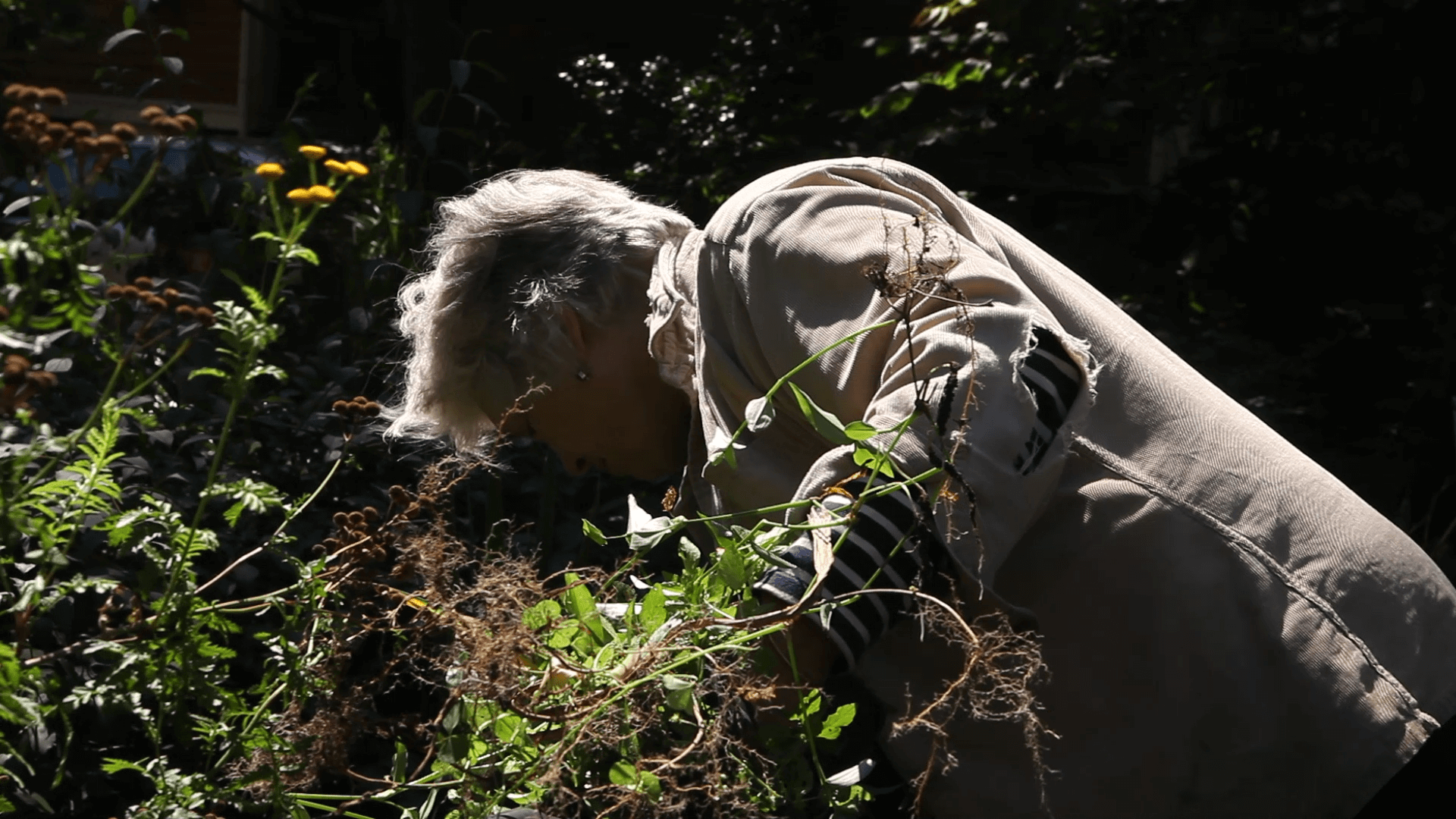 Sue Gardening