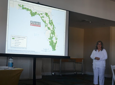 Diana Umpierre shares where LATF should be used to buy land to restore & protect the Greater Everglades / Photo: Stephen Mahoney