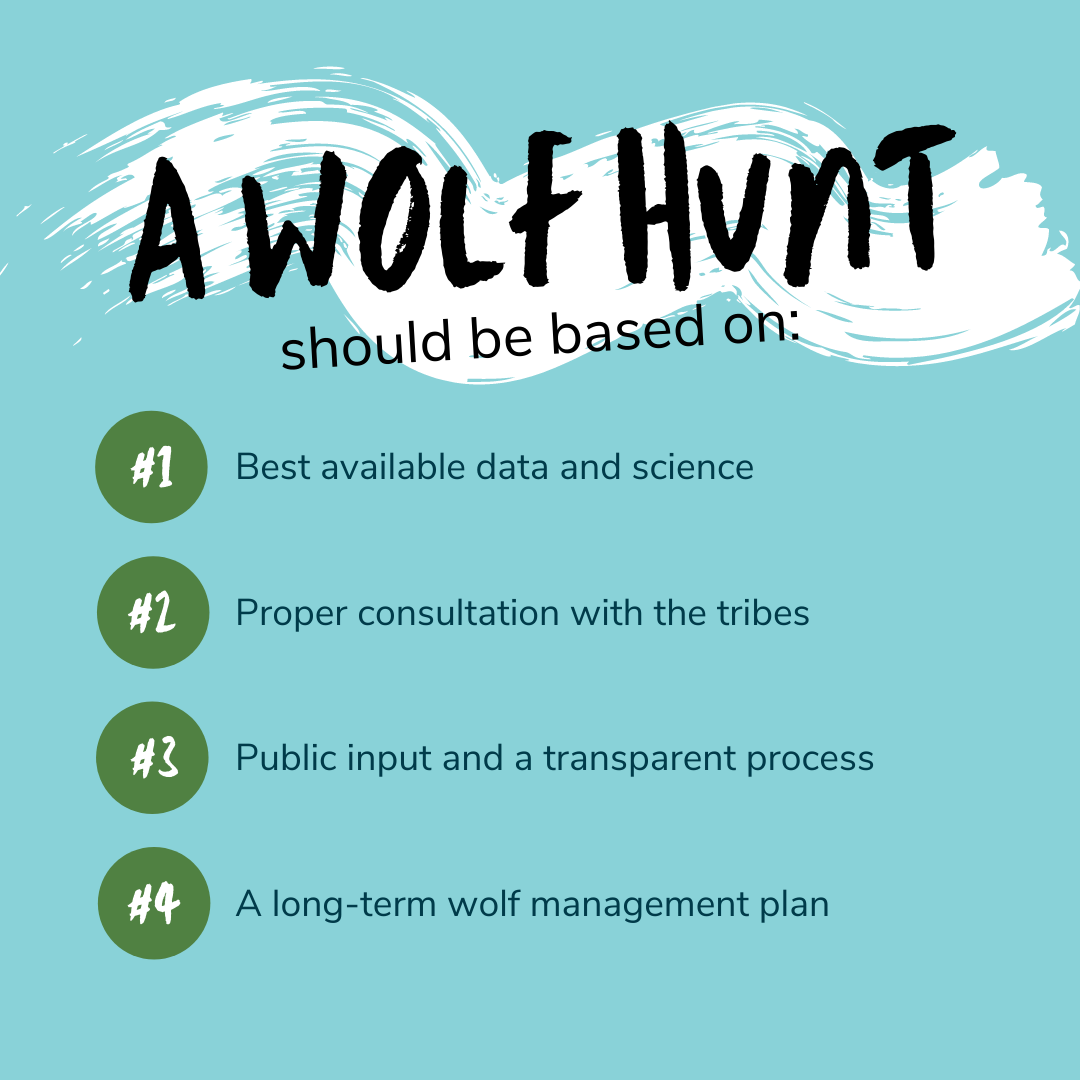 Wolf hunt needs to be based on science, public input, and tribal consulatiion
