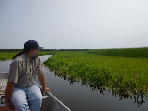 Kakagon Sloughs