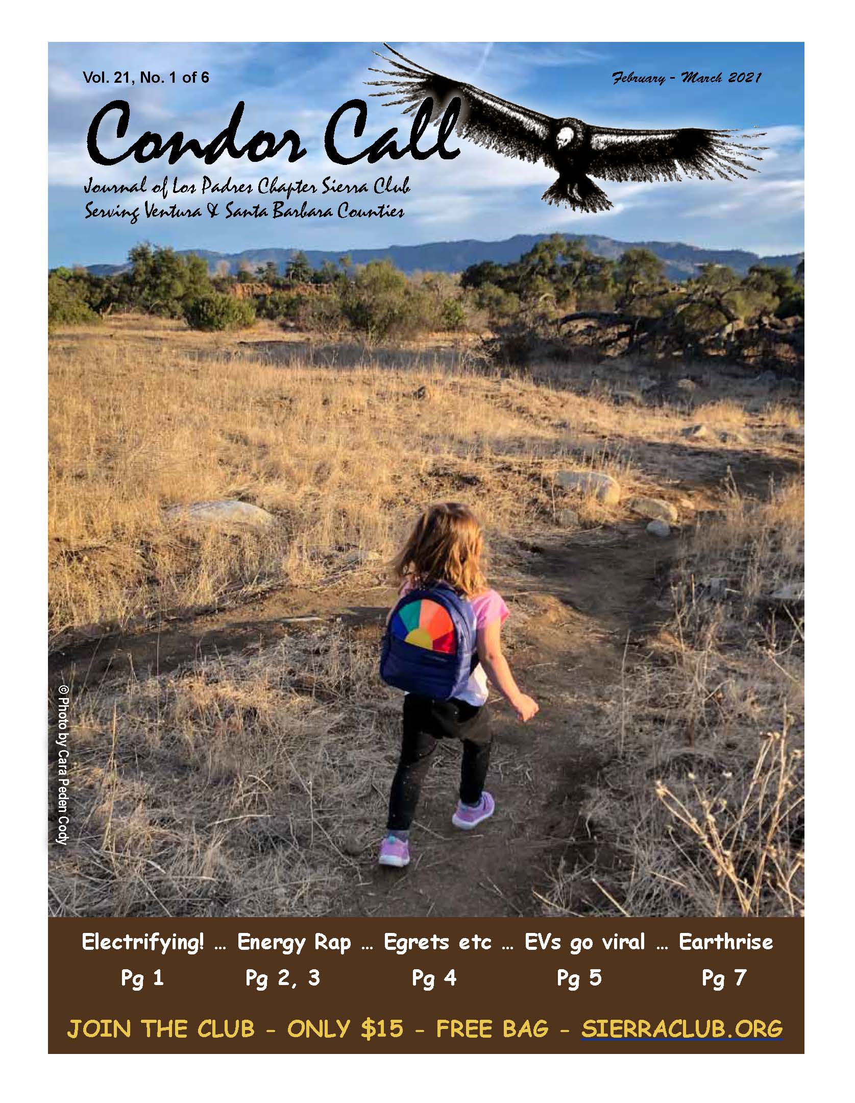 Feb-March 2021 Condor Call