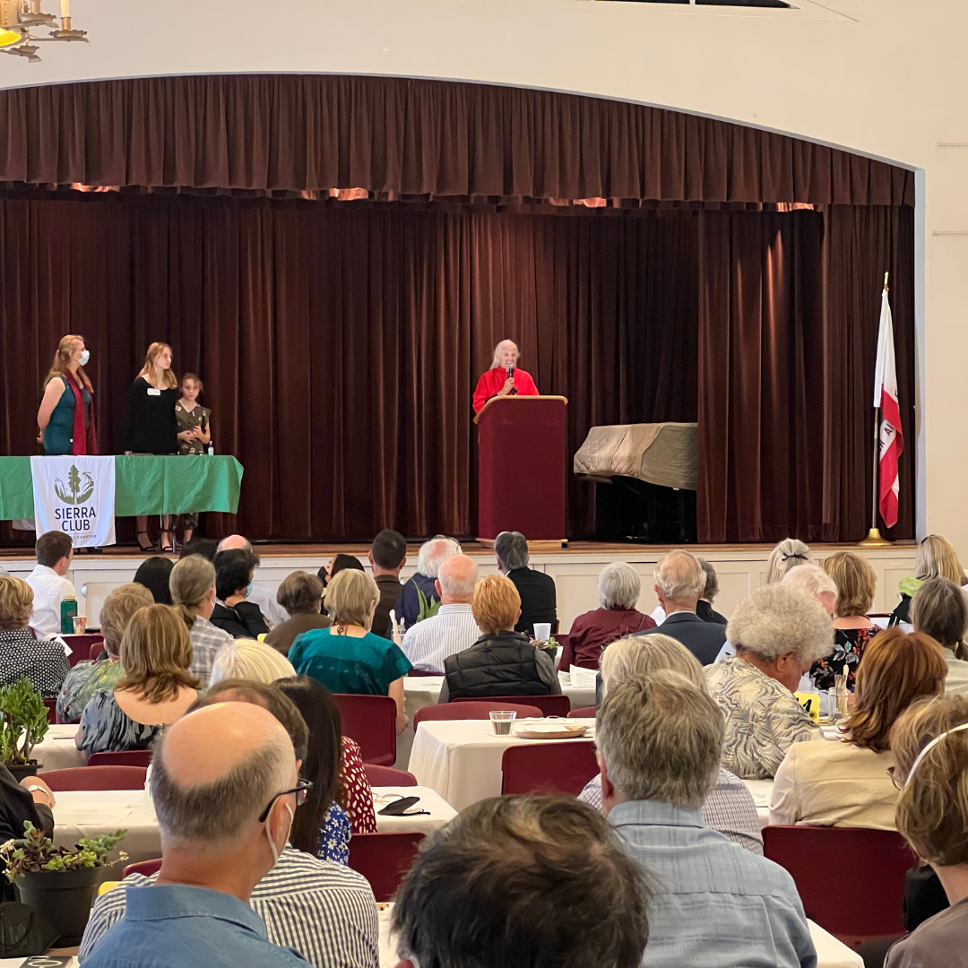 Sharon Koch, 2019 Chapter Executive Committee Chair and Mistress of Ceremonies 