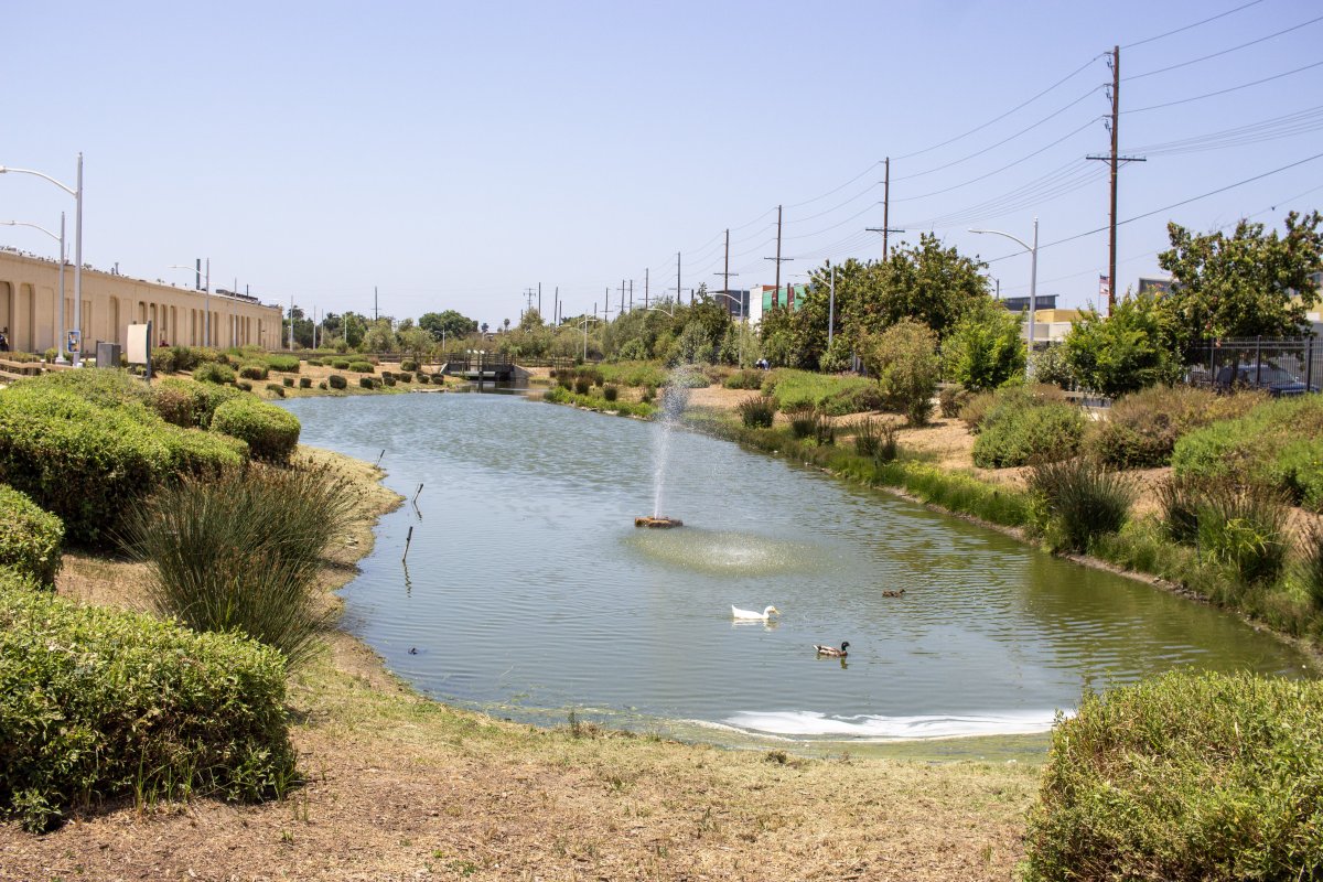 South LA Wetlands Park