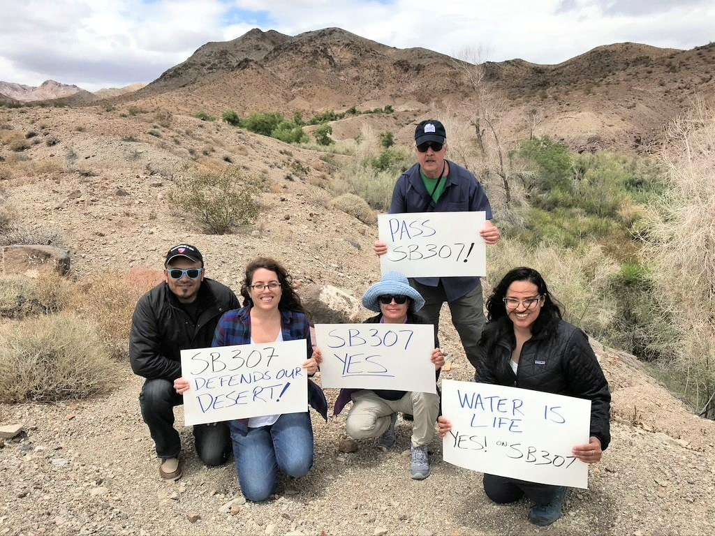 Sierra Club staff and volunteers at Bonanza Springs.  Senate Bill 307 passed two years ago, requiring projects like Cadiz to meet high state environmental standards. Cadiz needs the biased Three Valleys study of its water project to give it a longshot chance of obtaining state permission to operate. Photo credit Chris Clarke.