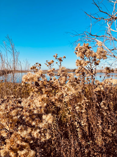 Bolsa Chica Ecological Preserve, Nick Hayes