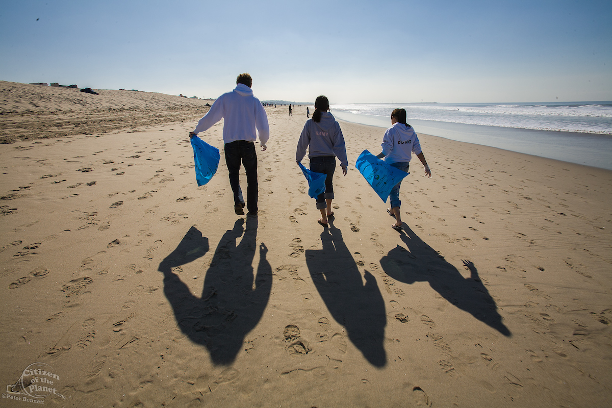 Heal the bay Clean up at Venice Beach, About 400 Students and Volunteers help with the Monthly Clean-up, California Peter Bennett