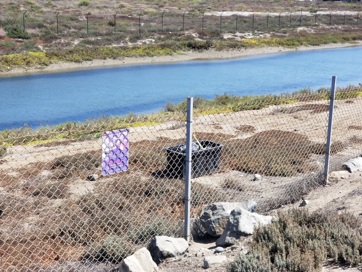 Gathered litter sits in a plastic bin behind a chainlink fence near a river bank