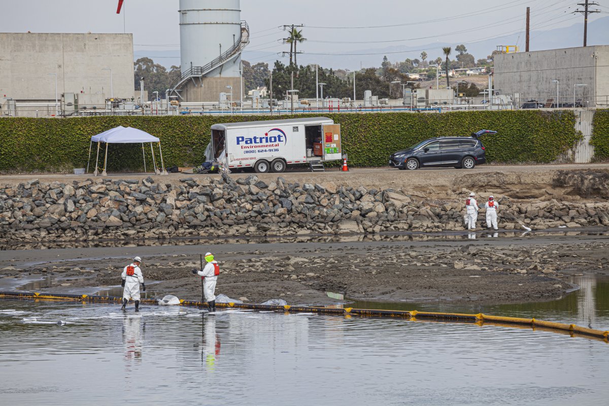 A cleanup crew mops up oil in the Talbert Marsh, home to many birds and wildlife. By Peter Bennett citizenoftheplanet.com