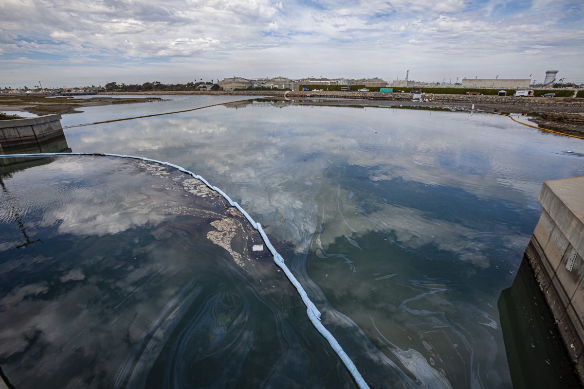 An oil slick in the Talbert Marsh near Huntington State Beach. By Peter Bennett citizenoftheplanet.com