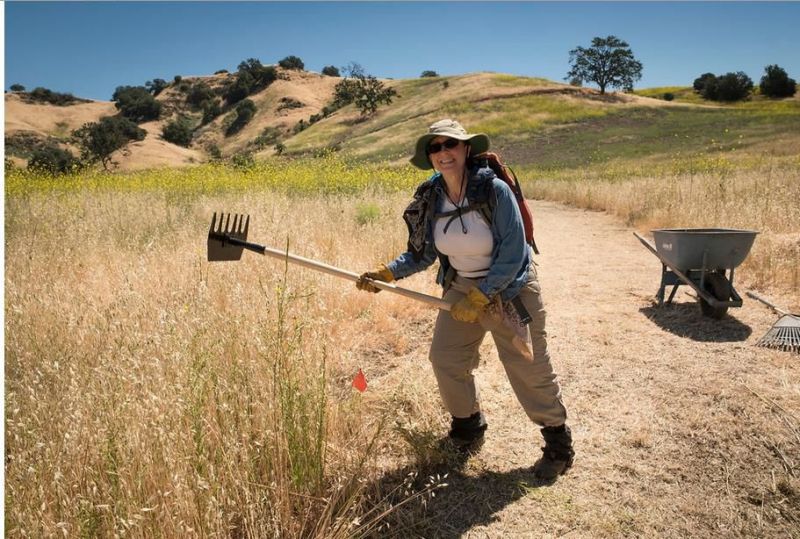 Trail Construction