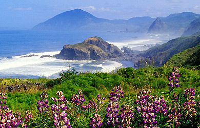 Santa Monica Mountains Task Force