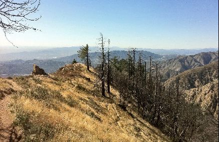 Trail to Mt. Lowe