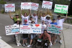 Sierra Club Angeles Chapter volunteers