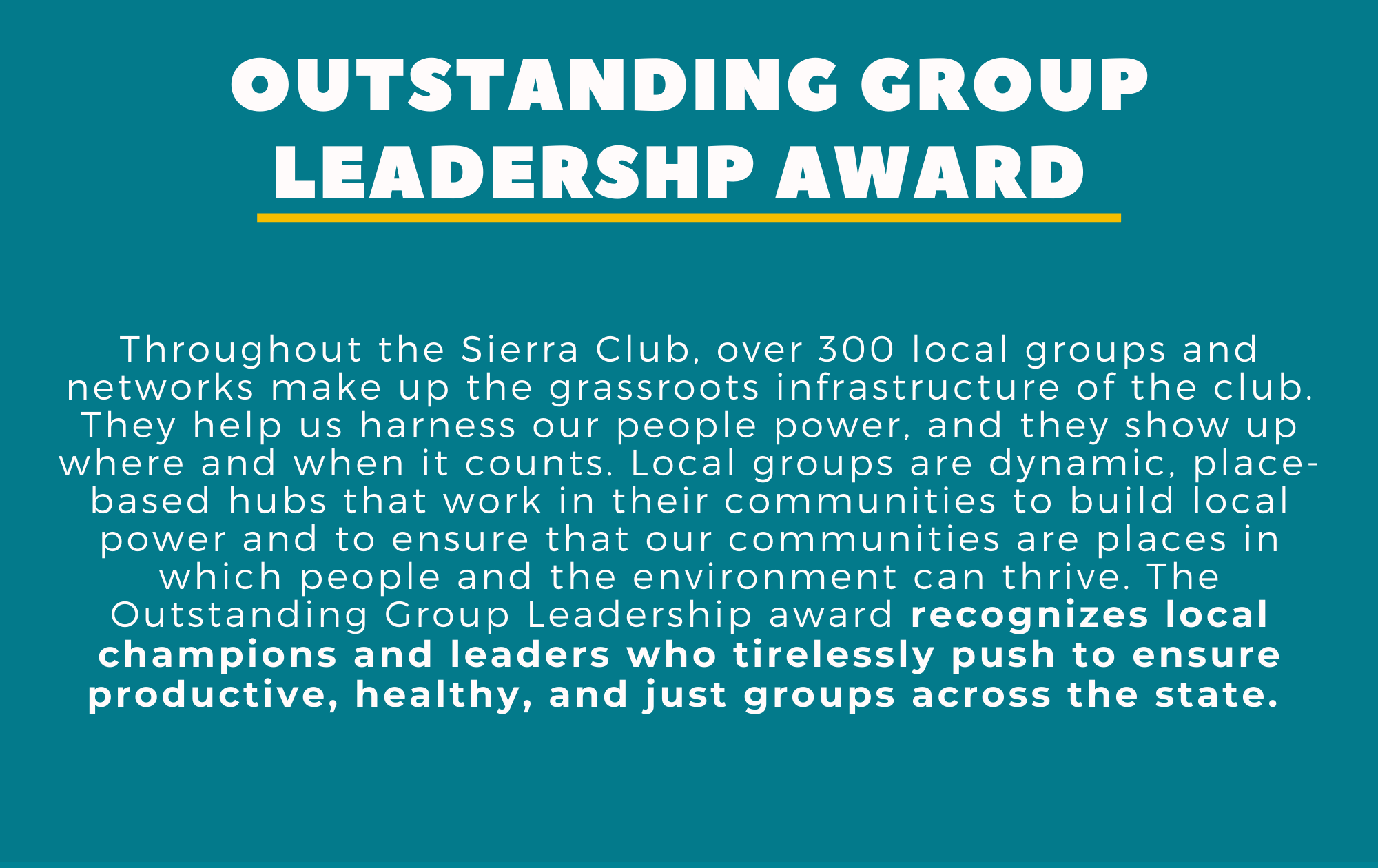 Outstanding Group Leadership Award
