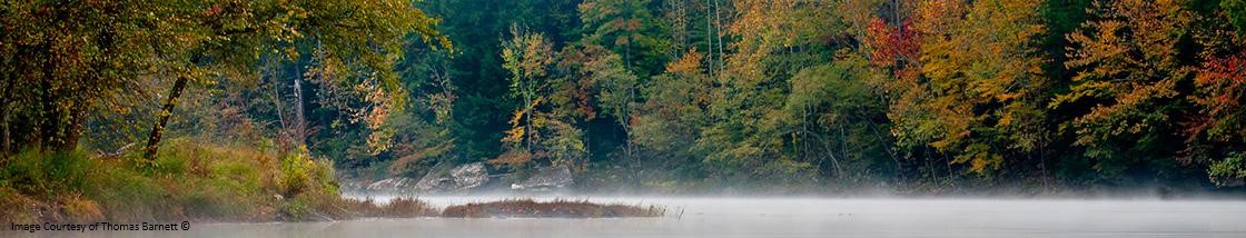 Misty River by Tom Barnett