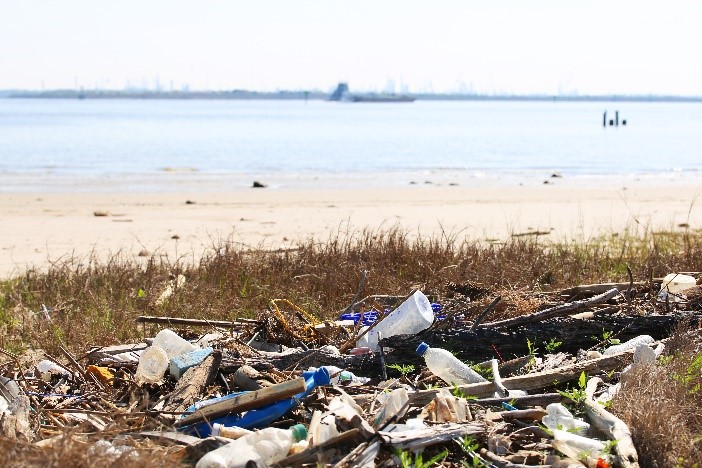 Galveston Bay Debris 