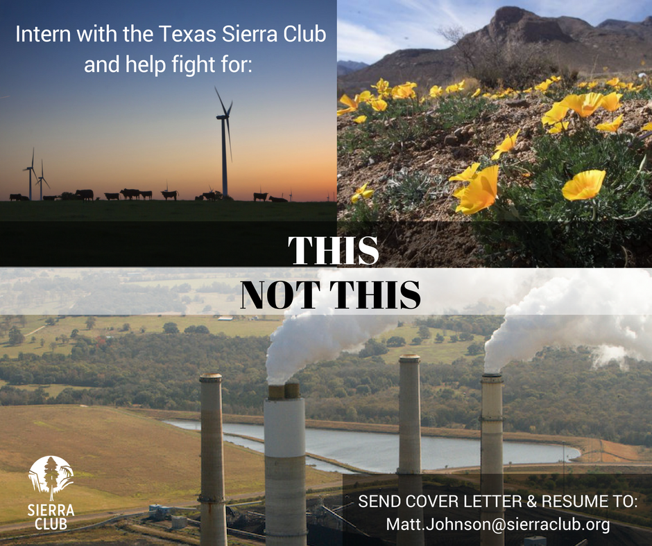 Intern with the Texas Sierra Club
