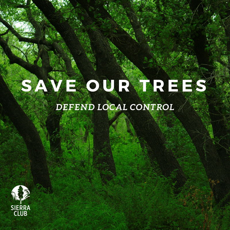 Defend Trees
