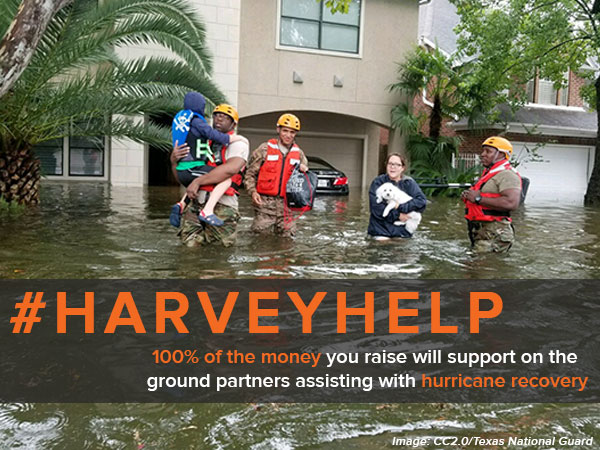Harvey Help