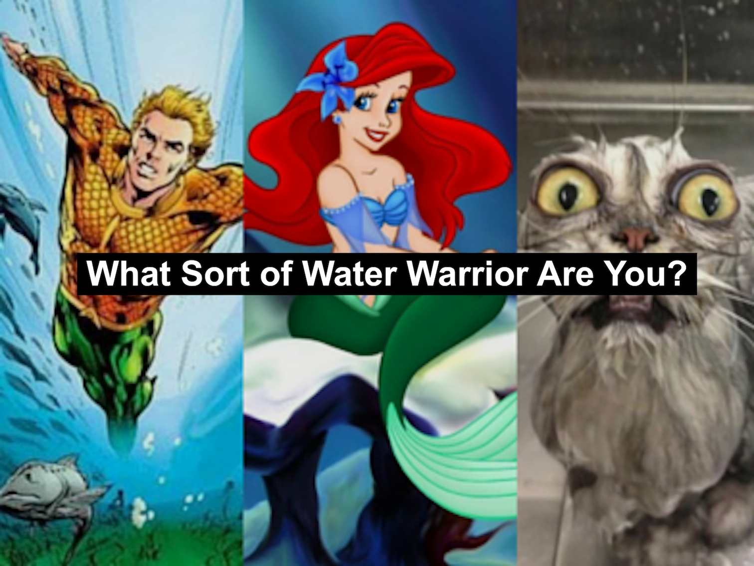Water quiz